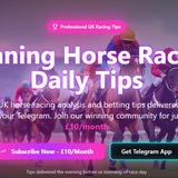 Horse Racing Tips Public Telegram channel logo