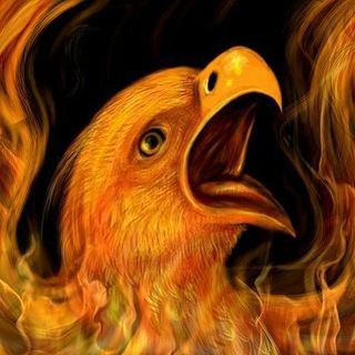 My Stock Picks Telegram channel logo