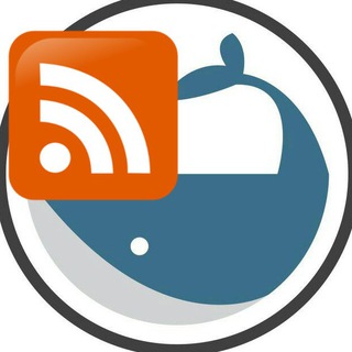 Whalepool Bitcoin Feed Telegram channel logo